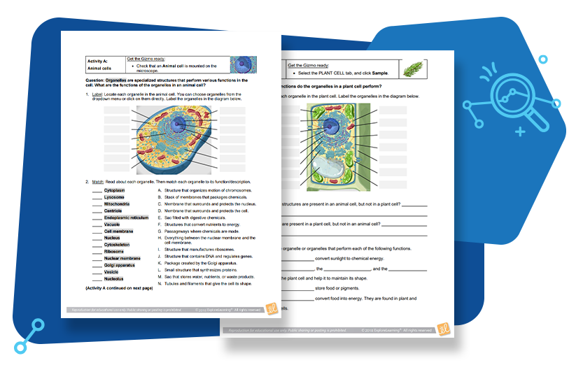 Cells Gizmo Worksheets