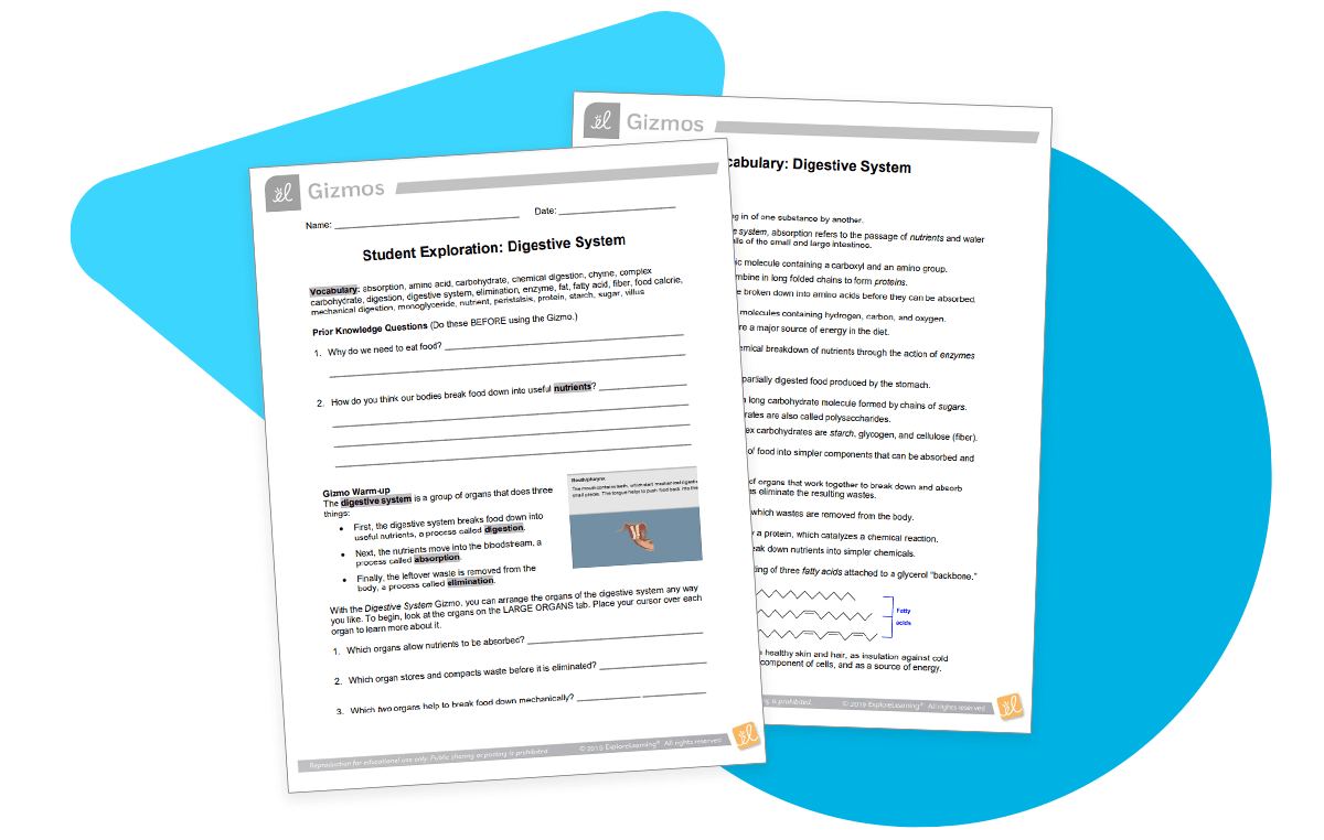 Illustration of assessment question handouts