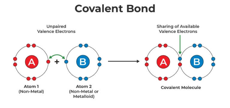 Covalent Bond