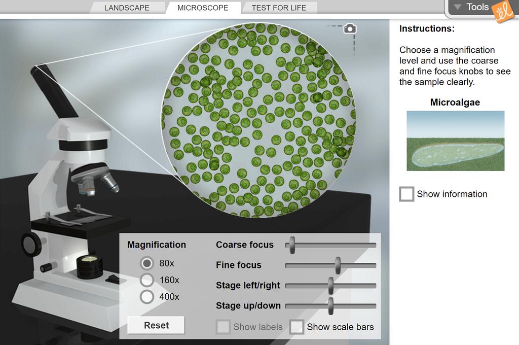 Gizmos Trial Preview