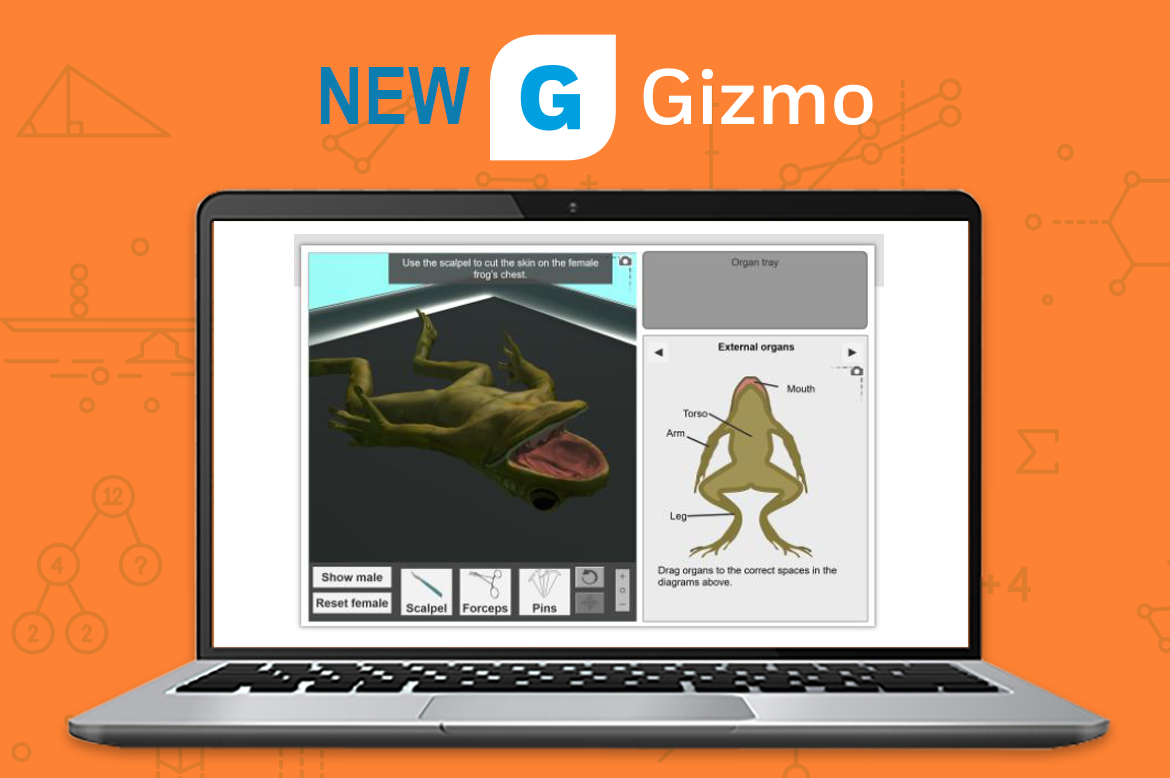 frog dissection gizmo